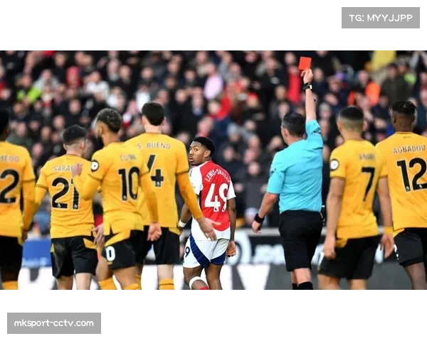 VAR技术再引争议，意甲红牌改判引发主帅不满